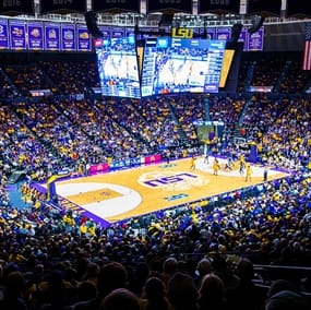 Discount LSU Tigers Men's Basketball Tickets for Military & Government
