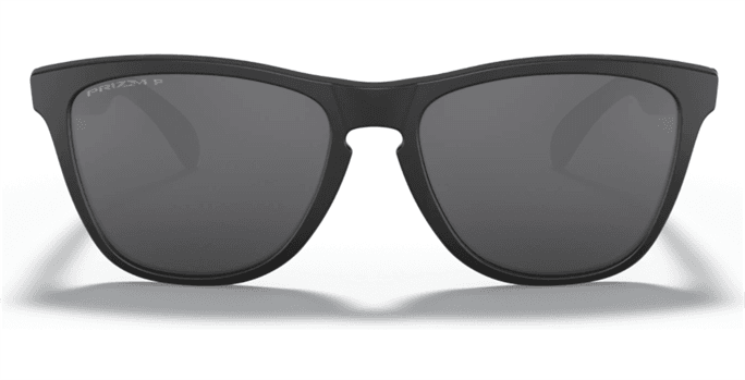 Oakley - Frogskins Mix Polarized Sunglasses - Discounts for Veterans, VA  employees and their families!