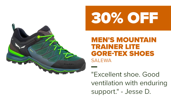 Men's Mountain Trainer Lite Gore-Tex Shoes