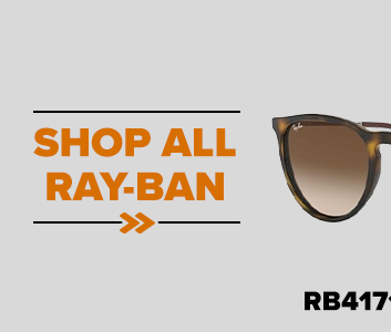 RB4171 Erika Sunglasses